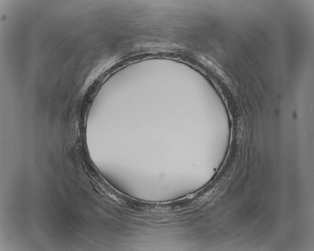 X0000062651261200601181801