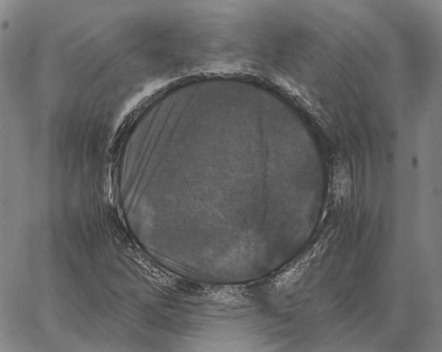 X0000062651262200601181801