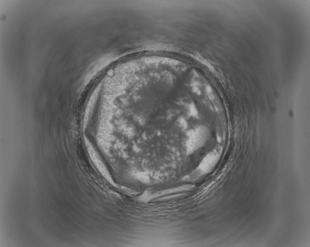 X0000062651263200601181801