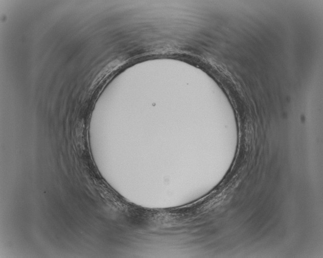 X0000062651265200601181801