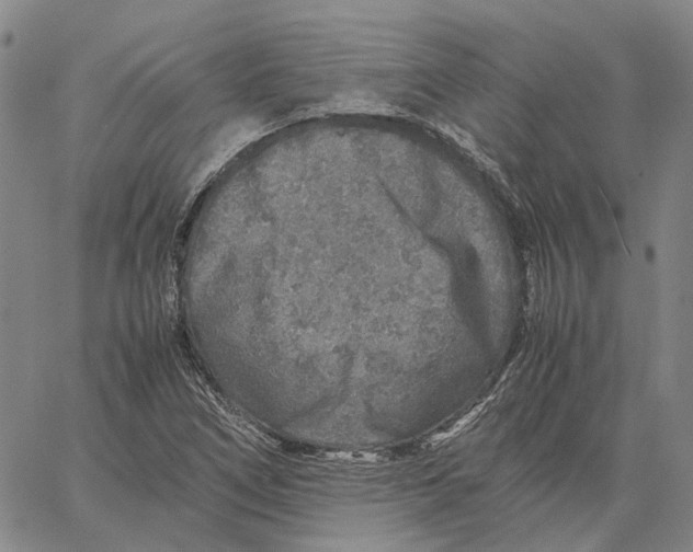 X0000062651266200601181801