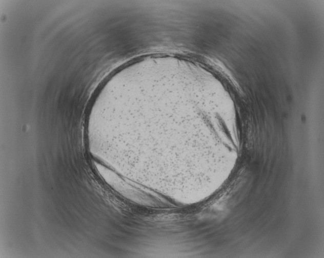 X0000062651268200601181801