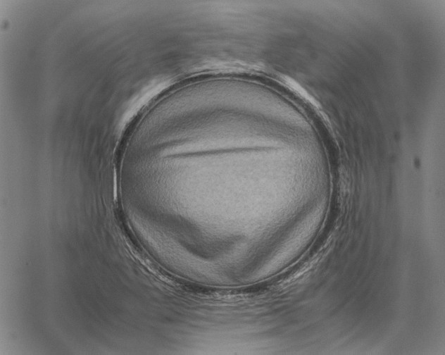 X0000062651269200601181801