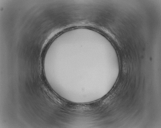 X0000062651270200601181801