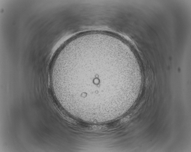 X0000062651271200601181801