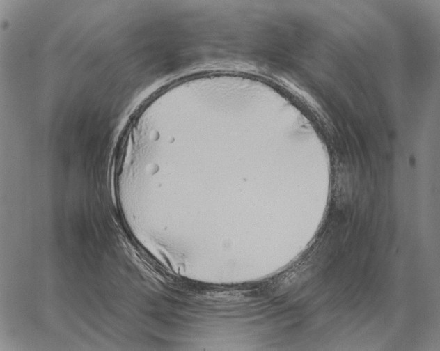 X0000062651272200601181801