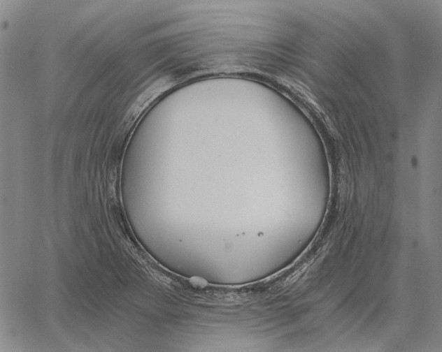 X0000062651273200601181801