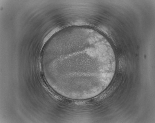 X0000062651274200601181801