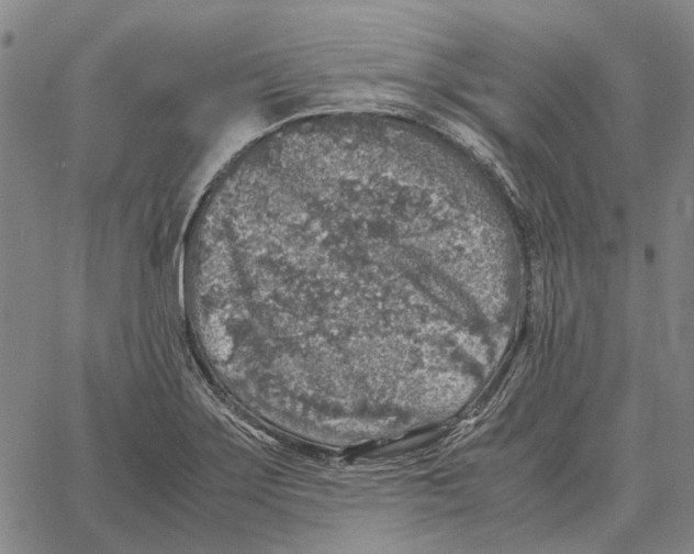 X0000062651275200601181801