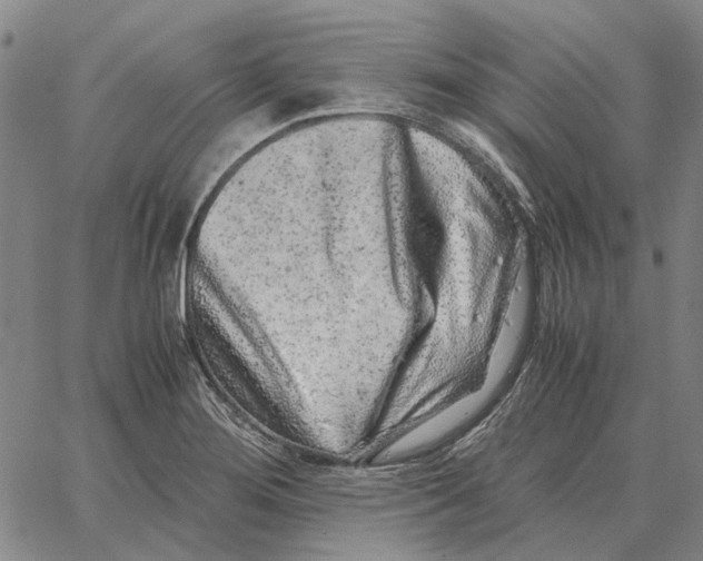 X0000062651276200601181801