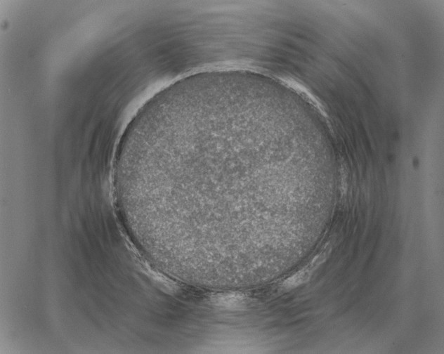 X0000062651278200601181801