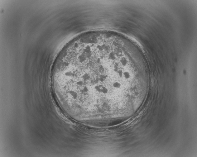 X0000062651279200601181801