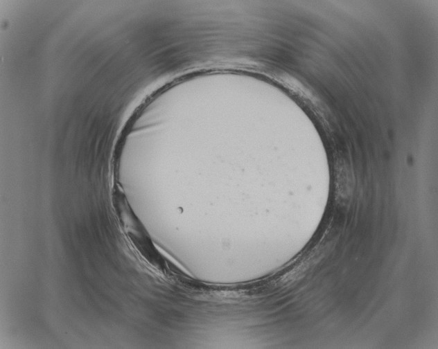 X0000062651280200601181800