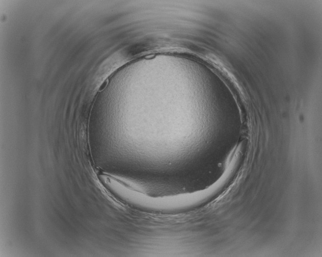 X0000062651281200601181800