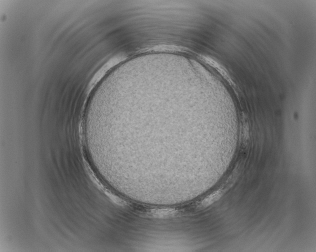 X0000062651282200601181800