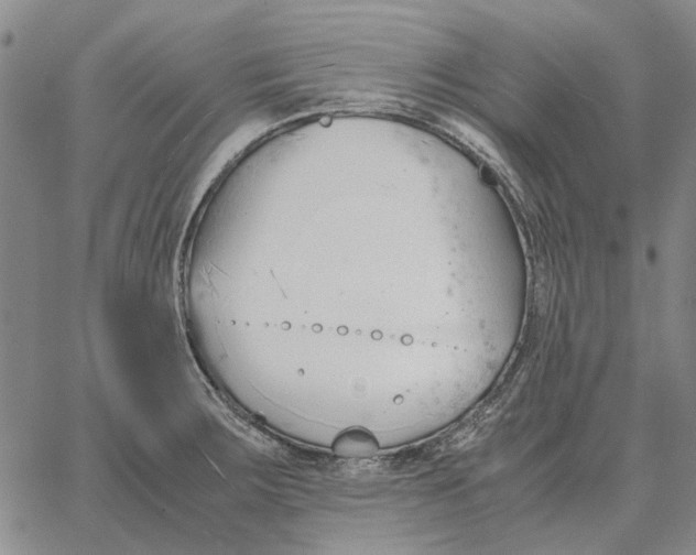 X0000062651283200601181800