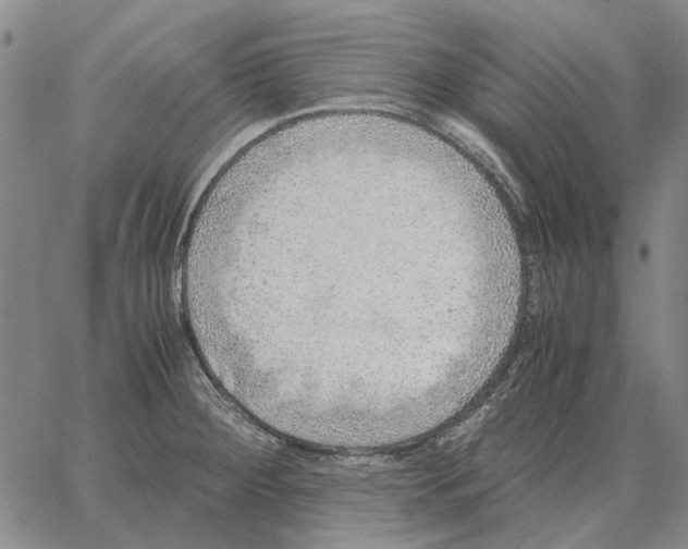 X0000062651284200601181800