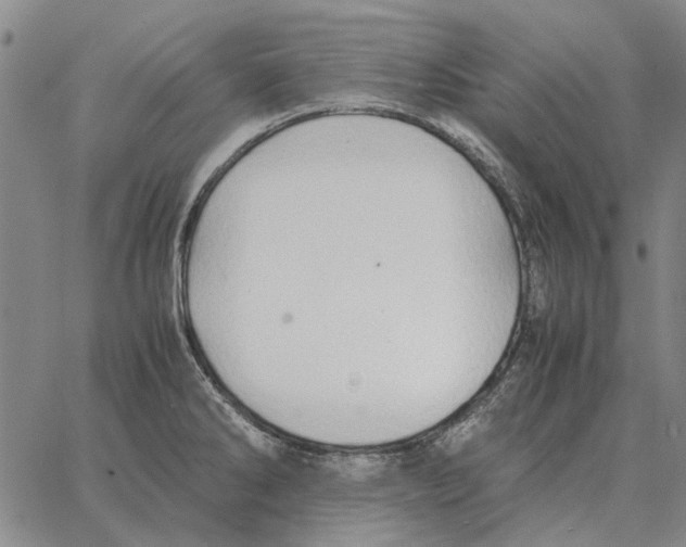 X0000062651286200601181800