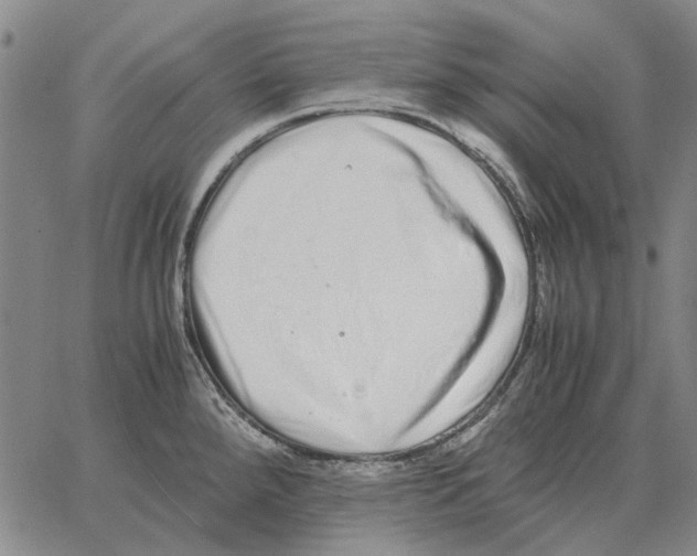 X0000062651288200601181800