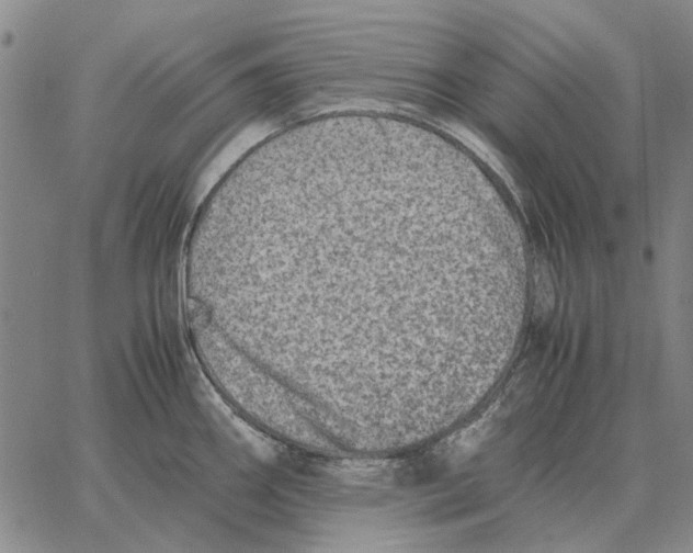 X0000062651290200601181800