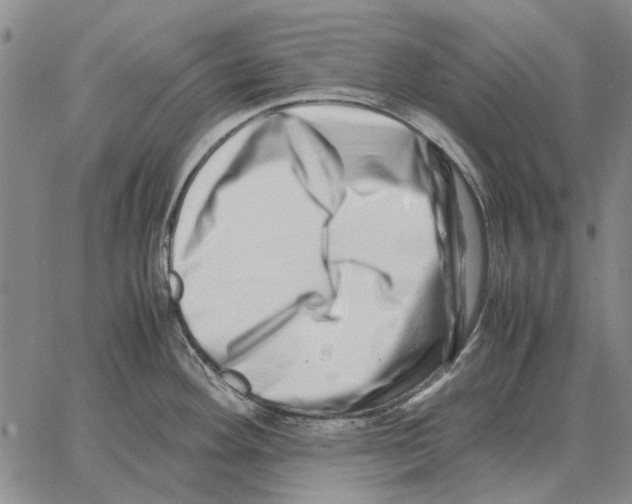 X0000062651292200601181800