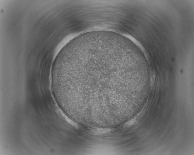 X0000062651294200601181800