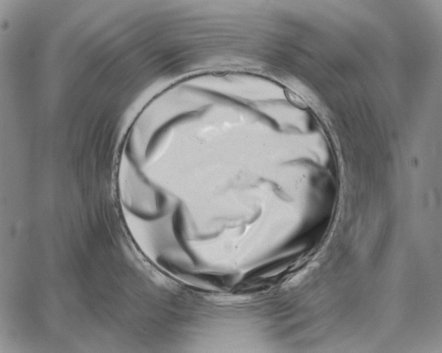 X0000062651296200601181800