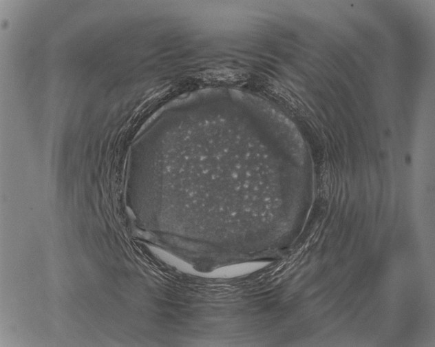 X0000062651297200601181759