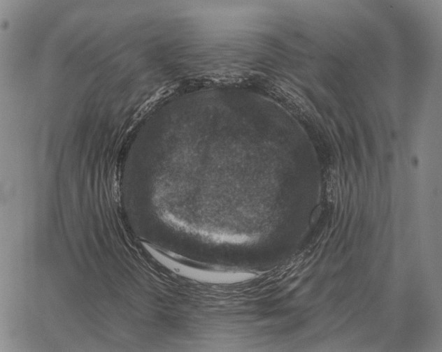 X0000062651298200601181759