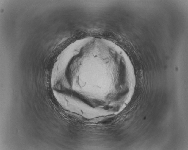 X0000062651301200601181800