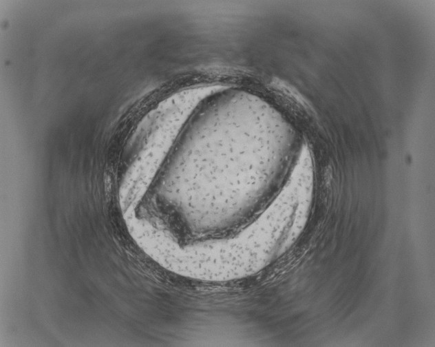 X0000062651302200601181800