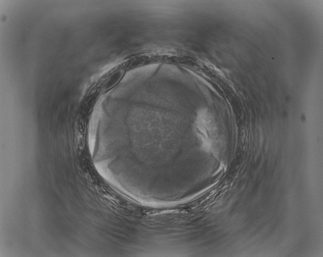 X0000062651303200601181800