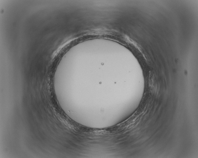 X0000062651304200601181800