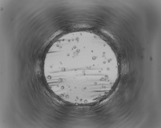 X0000062651305200601181800