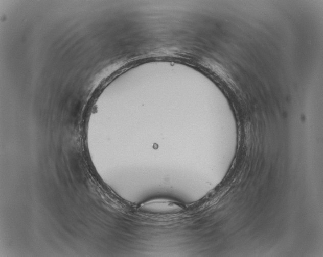 X0000062651308200601181800