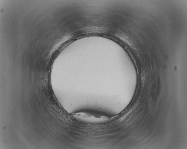 X0000062651309200601181800