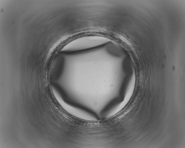 X0000062651310200601181800