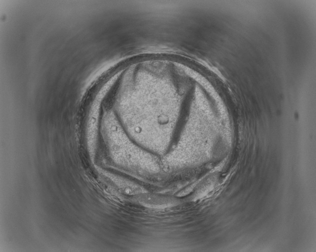 X0000062651311200601181800