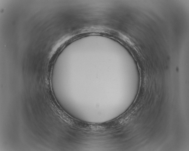 X0000062651312200601181800