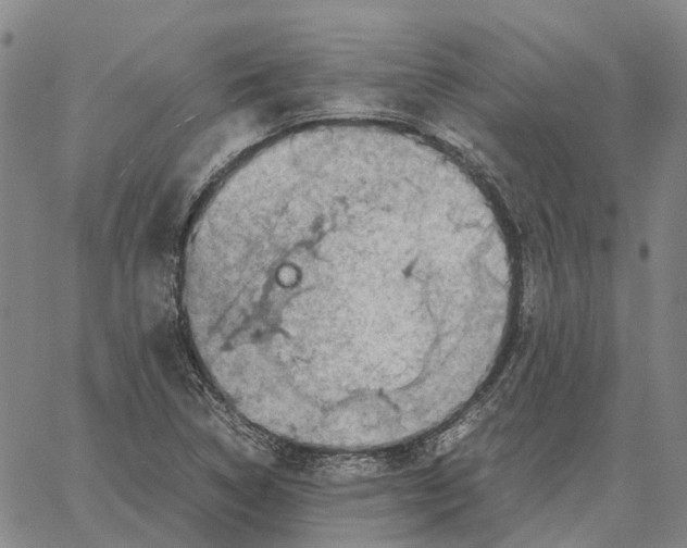 X0000062651314200601181800