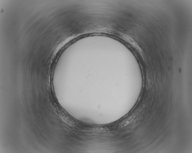 X0000062651316200601181800