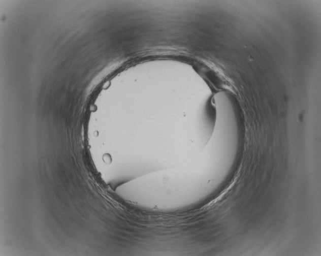 X0000062651317200601181800