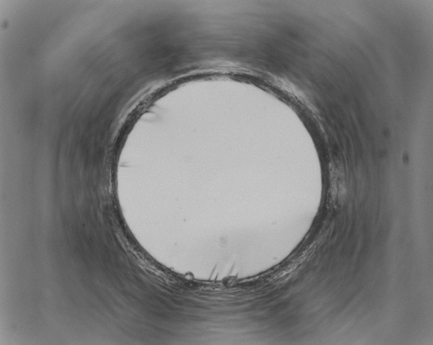 X0000062651318200601181800