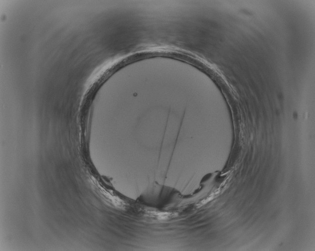 X0000062651319200601181800