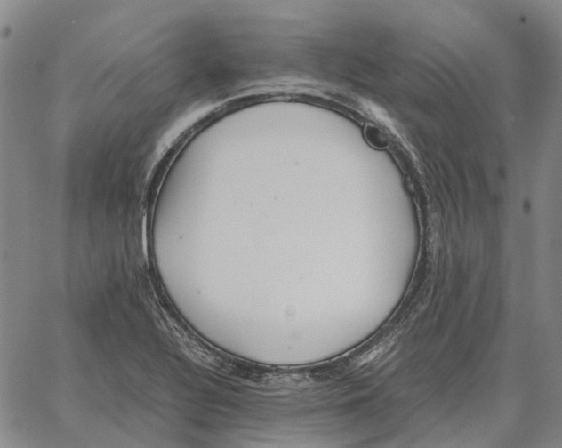 X0000062651320200601181800