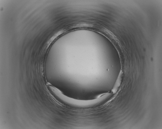 X0000062651321200601181800