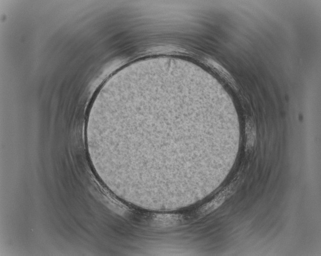 X0000062651322200601181800