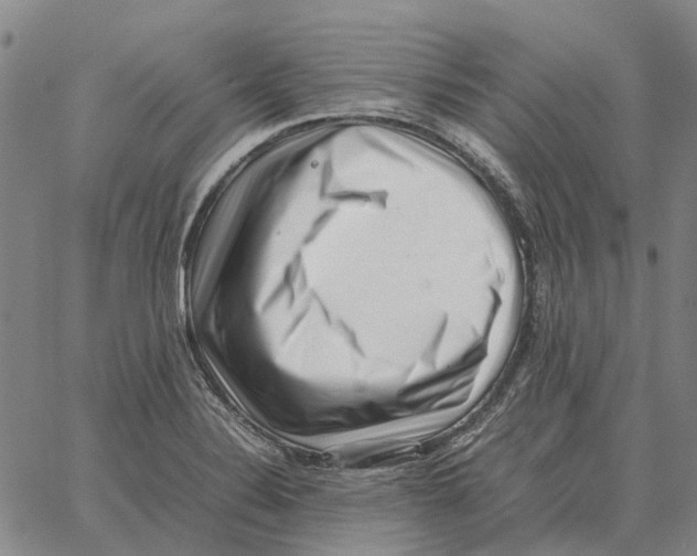 X0000062651324200601181800