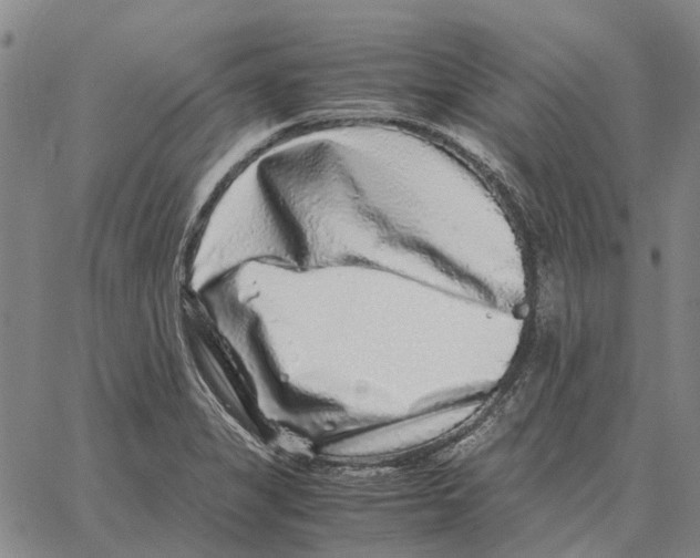 X0000062651325200601181800