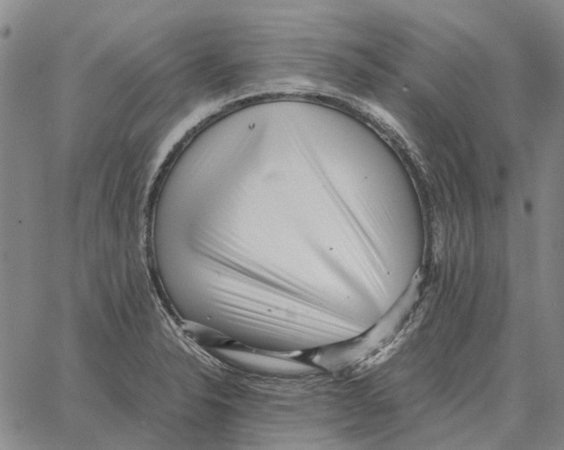 X0000062651326200601181800